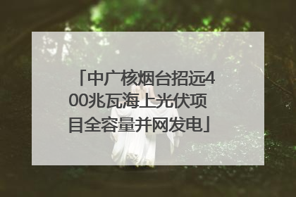 中广核烟台招远400兆瓦海上光伏项目全容量并网发电