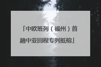 中欧班列（福州）首趟中亚回程专列抵榕