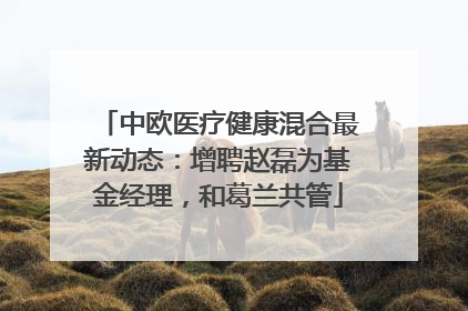 中欧医疗健康混合最新动态：增聘赵磊为基金经理，和葛兰共管