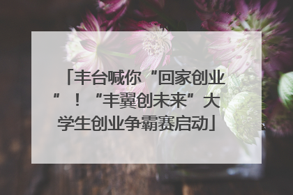 丰台喊你“回家创业”！“丰翼创未来”大学生创业争霸赛启动
