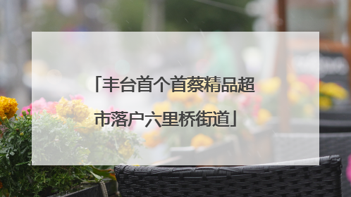 丰台首个首蔡精品超市落户六里桥街道