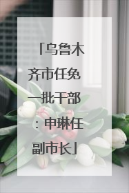 乌鲁木齐市任免一批干部：申琳任副市长