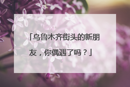 乌鲁木齐街头的新朋友，你偶遇了吗？