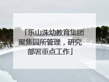 乐山洙幼教育集团聚焦园所管理，研究部署重点工作