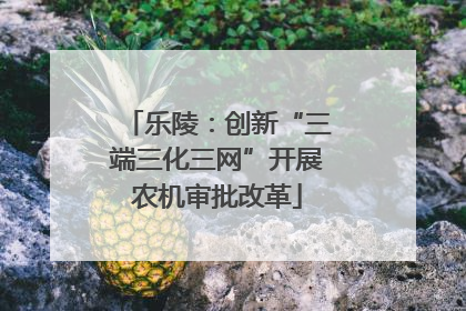 乐陵：创新“三端三化三网”开展农机审批改革