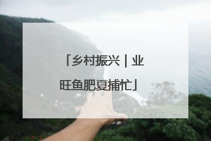 乡村振兴｜业旺鱼肥夏捕忙