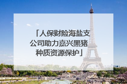 人保财险海盐支公司助力嘉兴黑猪种质资源保护