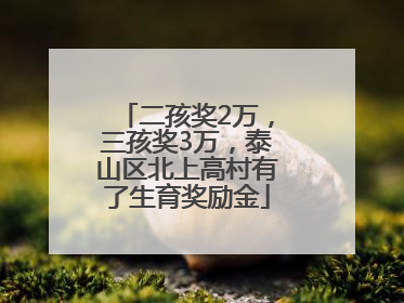 二孩奖2万，三孩奖3万，泰山区北上高村有了生育奖励金