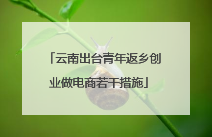 云南出台青年返乡创业做电商若干措施