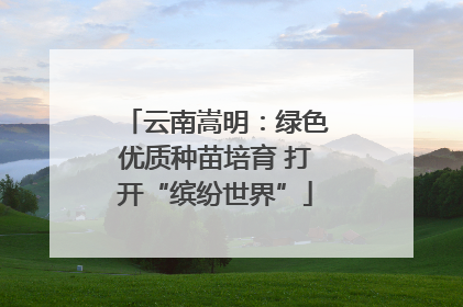 云南嵩明：绿色优质种苗培育 打开“缤纷世界”