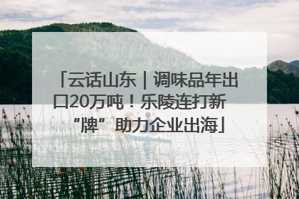云话山东｜调味品年出口20万吨！乐陵连打新“牌”助力企业出海
