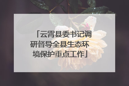 云霄县委书记调研督导全县生态环境保护重点工作