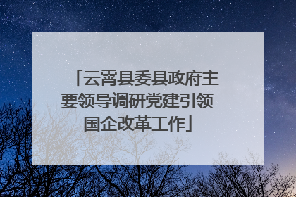 云霄县委县政府主要领导调研党建引领国企改革工作