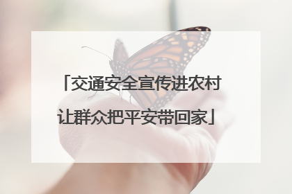交通安全宣传进农村 让群众把平安带回家