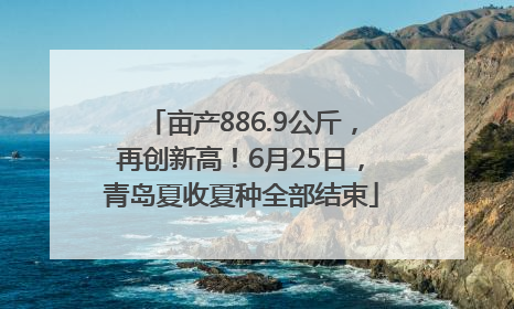 亩产886.9公斤，再创新高！6月25日，青岛夏收夏种全部结束