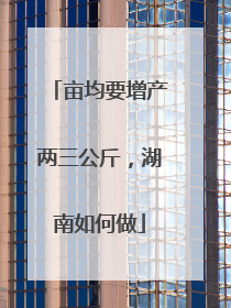 亩均要增产两三公斤，湖南如何做