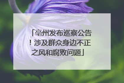 亳州发布巡察公告！涉及群众身边不正之风和腐败问题