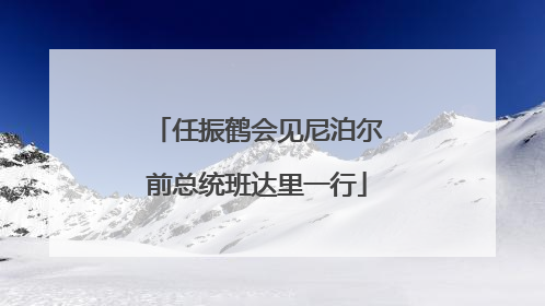 任振鹤会见尼泊尔前总统班达里一行