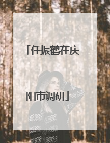 任振鹤在庆阳市调研