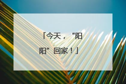 今天，“阳阳”回家！