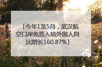 今年1至5月，武汉航空口岸免签入境外国人同比增长160.87%