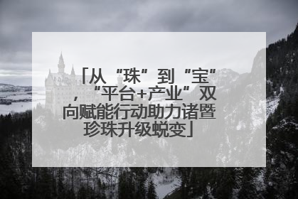 从“珠”到“宝”，“平台+产业”双向赋能行动助力诸暨珍珠升级蜕变