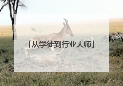 从学徒到行业大师