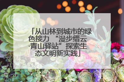 从山林到城市的绿色接力 “漫步缙云·青山驿站”探索生态文明新实践