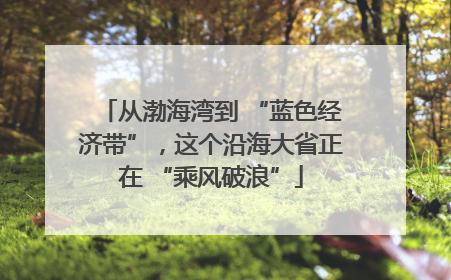 从渤海湾到 “蓝色经济带”，这个沿海大省正在 “乘风破浪”