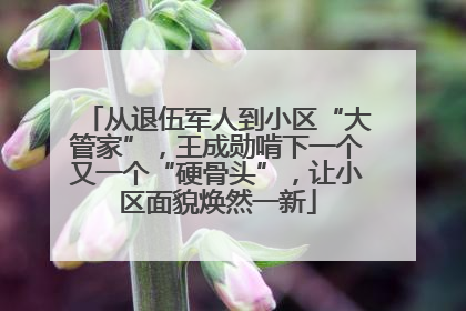 从退伍军人到小区“大管家”，王成勋啃下一个又一个“硬骨头”，让小区面貌焕然一新