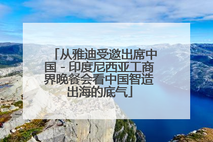 从雅迪受邀出席中国－印度尼西亚工商界晚餐会看中国智造出海的底气