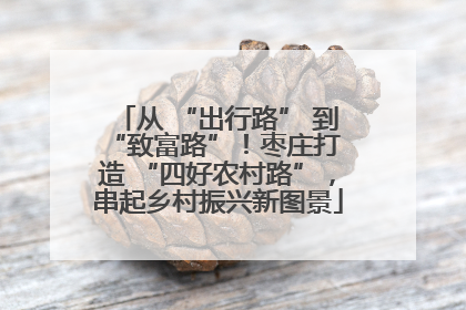 从 “出行路” 到 “致富路”！枣庄打造 “四好农村路”，串起乡村振兴新图景