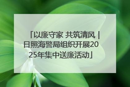 以廉守家 共筑清风｜日照海警局组织开展2025年集中送廉活动