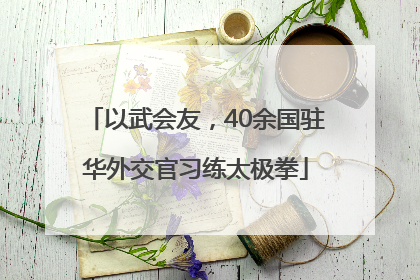 以武会友，40余国驻华外交官习练太极拳