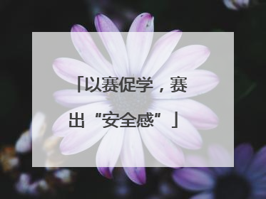 以赛促学，赛出“安全感”