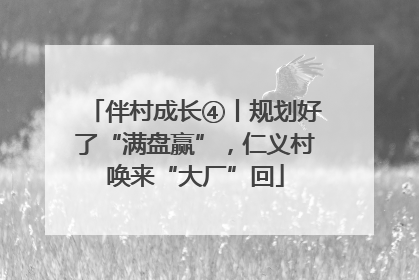 伴村成长④丨规划好了“满盘赢”，仁义村唤来“大厂”回