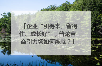 企业“引得来、留得住、成长好”，普陀营商引力场如何炼就？