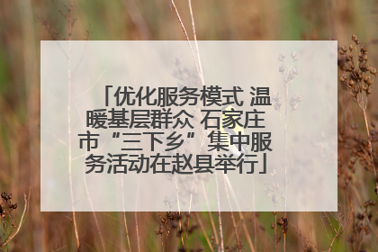 优化服务模式 温暖基层群众 石家庄市“三下乡”集中服务活动在赵县举行