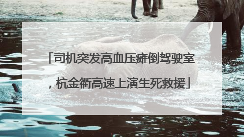 司机突发高血压瘫倒驾驶室，杭金衢高速上演生死救援