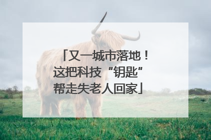 又一城市落地！这把科技“钥匙”帮走失老人回家