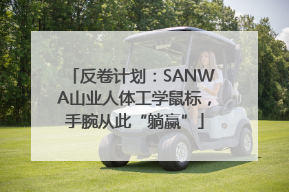 反卷计划：SANWA山业人体工学鼠标，手腕从此“躺赢”
