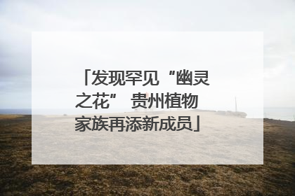 发现罕见“幽灵之花” 贵州植物家族再添新成员