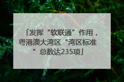 发挥“软联通”作用，粤港澳大湾区“湾区标准”总数达235项