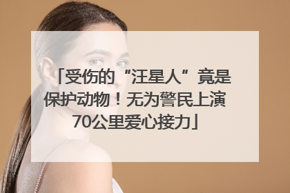受伤的“汪星人”竟是保护动物！无为警民上演70公里爱心接力