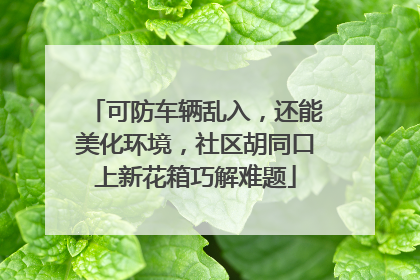 可防车辆乱入，还能美化环境，社区胡同口上新花箱巧解难题