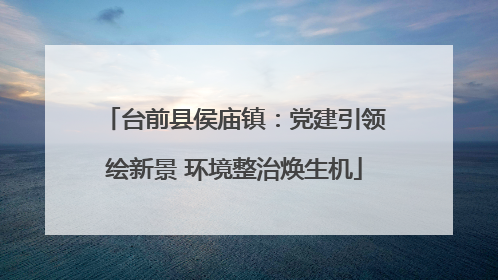 台前县侯庙镇：党建引领绘新景 环境整治焕生机