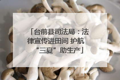 台前县司法局：法律宣传进田间 护航“三夏”助生产