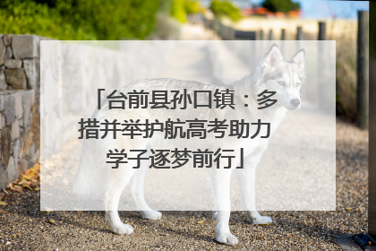 台前县孙口镇：多措并举护航高考助力学子逐梦前行