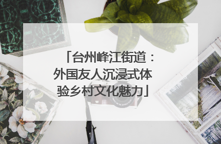 台州峰江街道：外国友人沉浸式体验乡村文化魅力