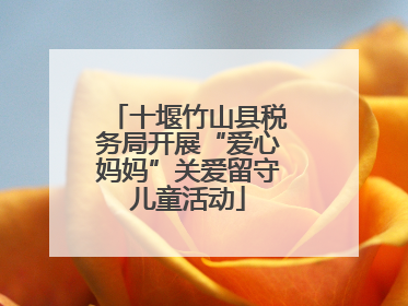 十堰竹山县税务局开展“爱心妈妈”关爱留守儿童活动